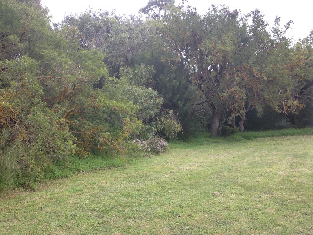 Millicent Lakeside Caravan Park Hotell Exteriör bild